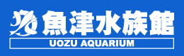 魚津水族館