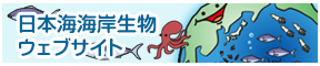 日本海海岸生物ウェブサイト